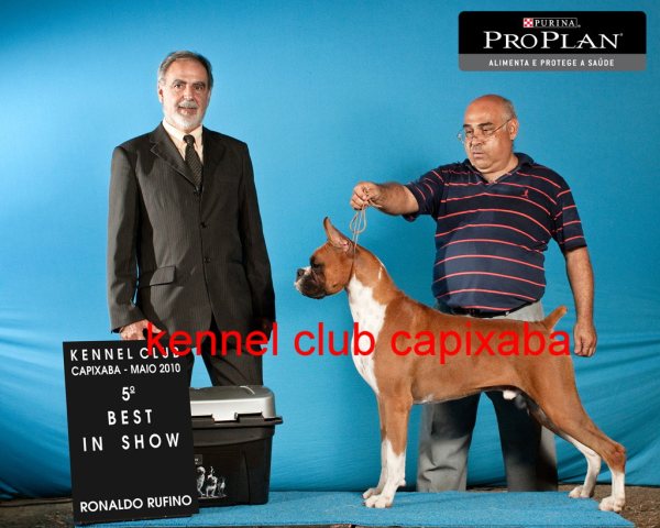 Clique sobre a foto para fechar